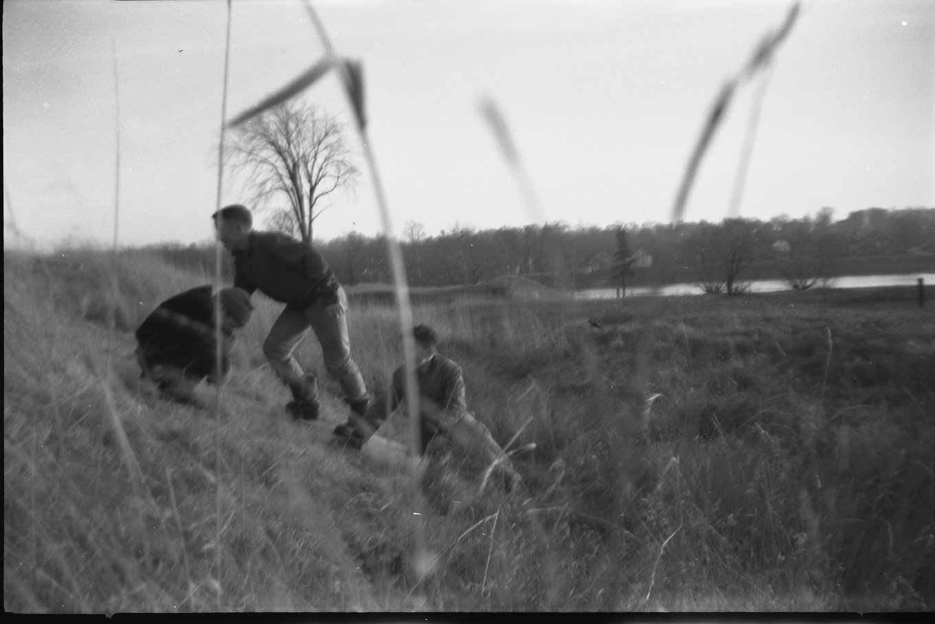 Rotary Park when it was a Quaker owned field