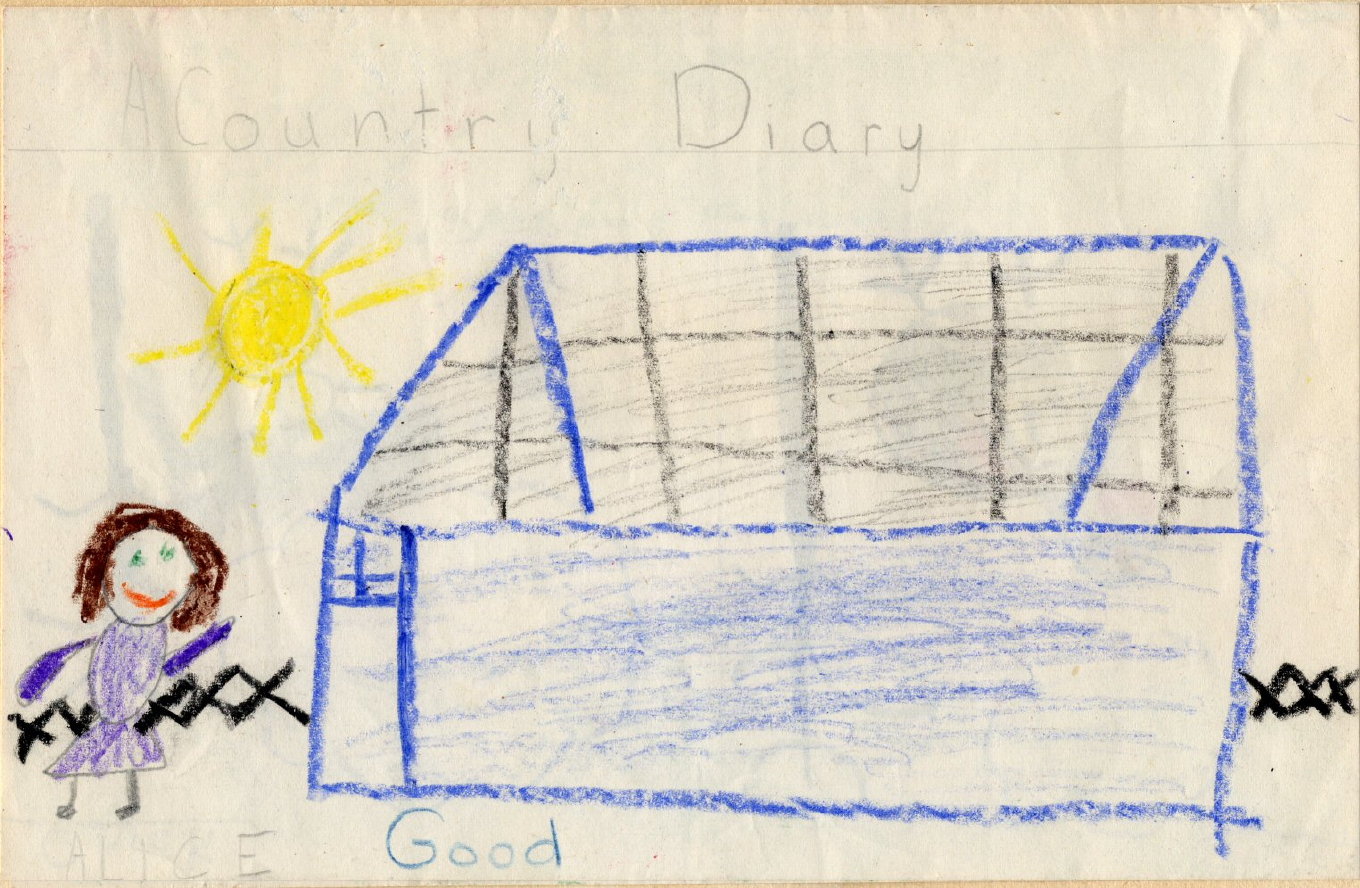 1955 Kindergarten work by Alice Lee cover of country diary