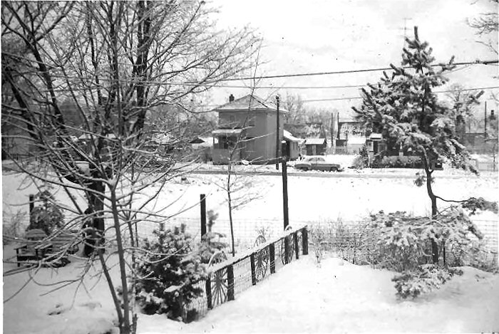 1958_January_Euclid_Street behind Caddy from backyard 268.jpg